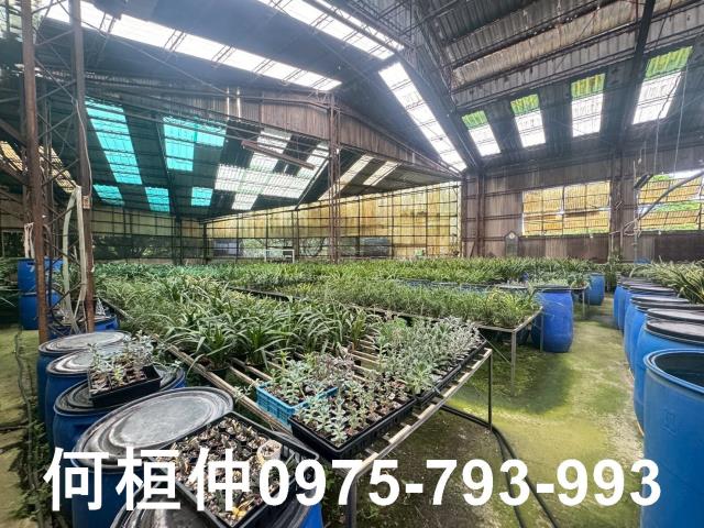苗栗市廠房-1