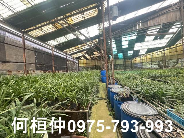 苗栗市廠房-2