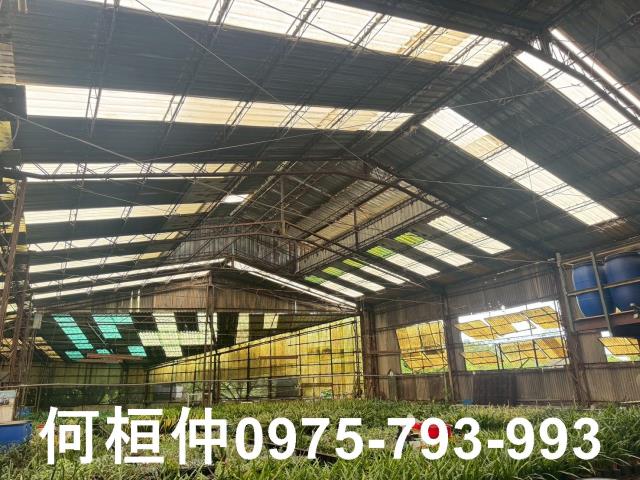 苗栗市廠房-6