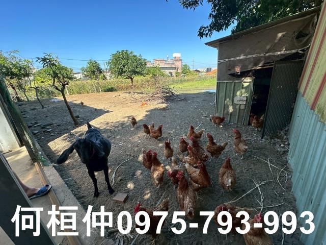 苗栗竹南農舍-10