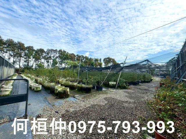 苗栗後龍廠房-10