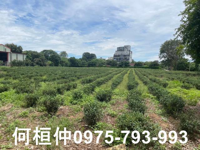 苗栗頭份農地-1
