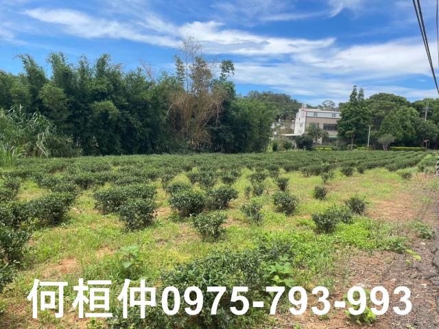 苗栗頭份農地-3