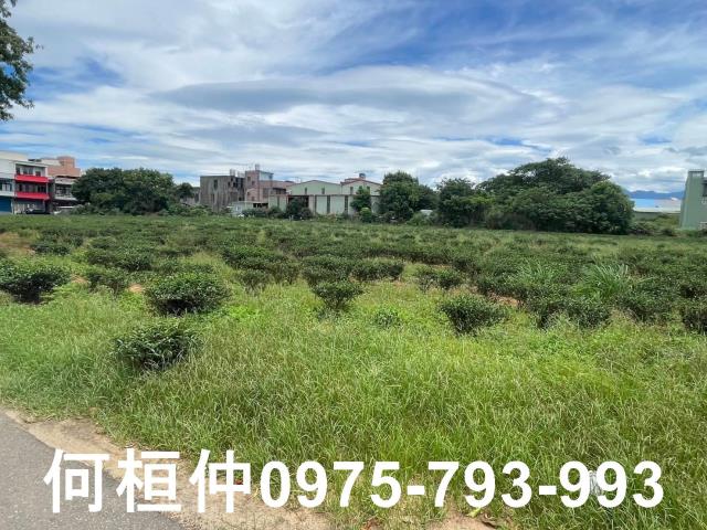 苗栗頭份農地-5