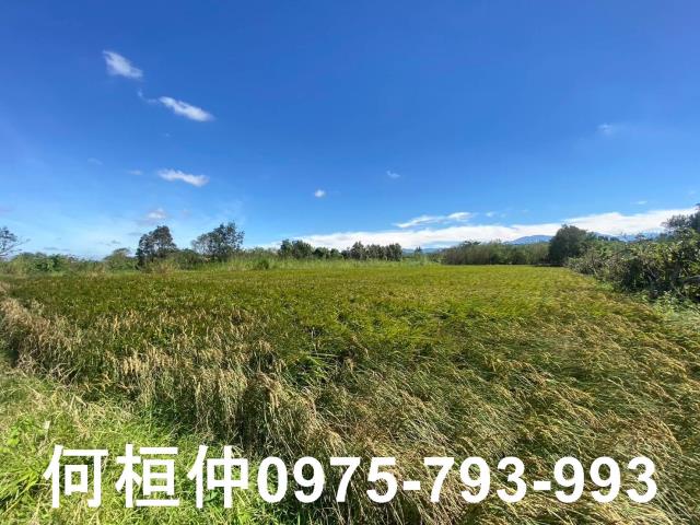 苗栗後龍農地-0