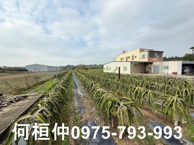 苗栗竹南農地-1