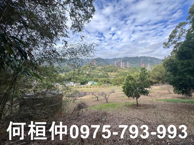 苗栗大湖山坡地-0