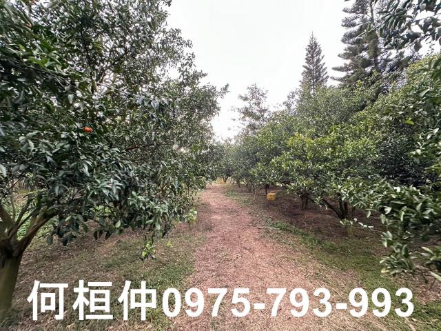 苗栗農地-9
