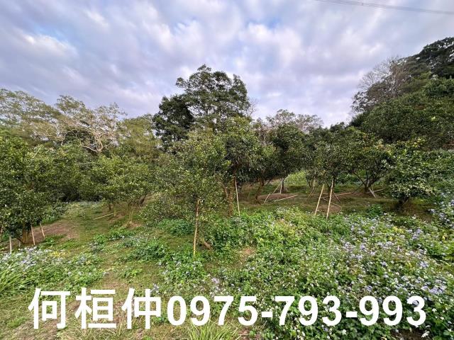 苗栗農地-10