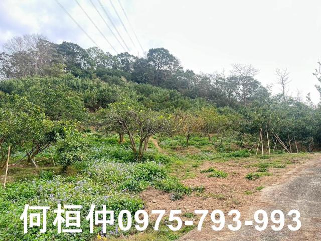 苗栗農地-12