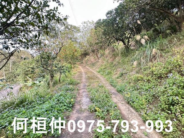 苗栗農地-3