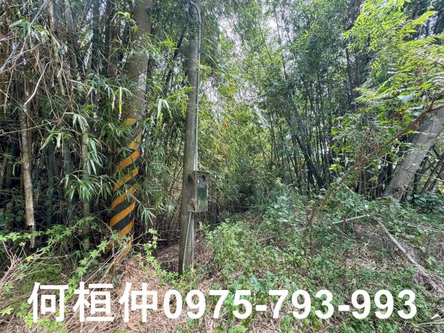 苗栗建地-10