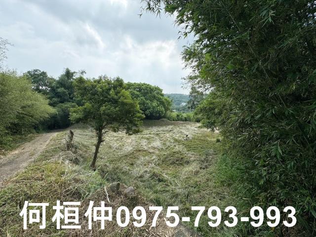 苗栗建地-13