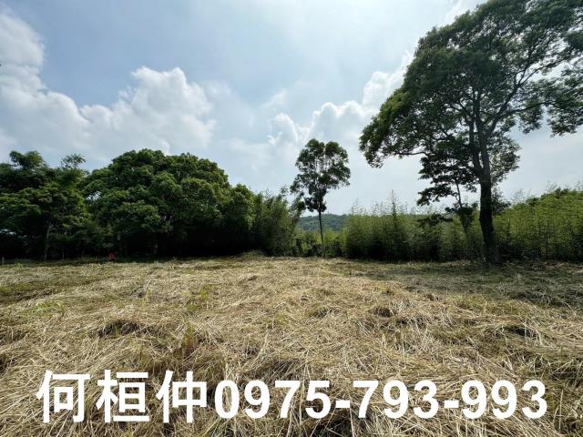 苗栗建地-2