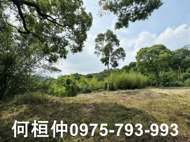苗栗建地-5