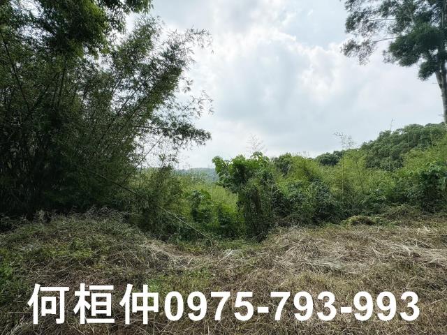 苗栗建地-6