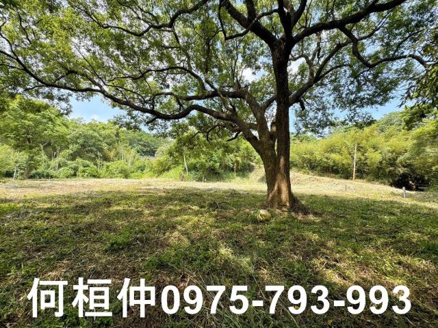 苗栗建地-8