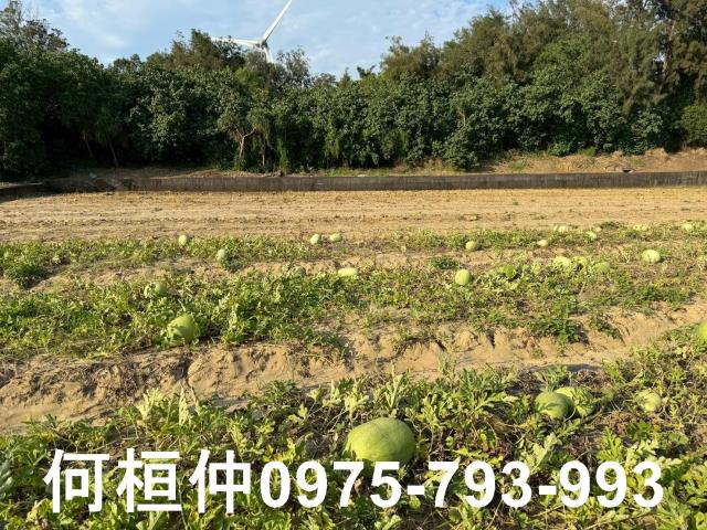 後龍農地-1