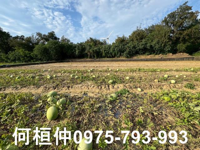 後龍農地-4