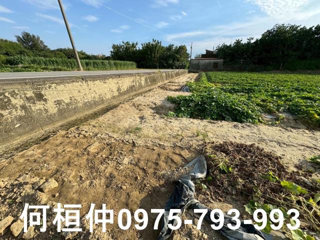 後龍農地-6