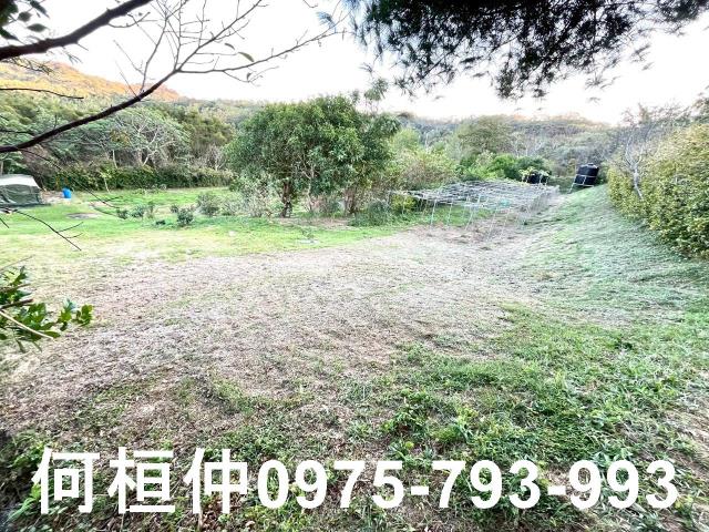 頭份農地-1