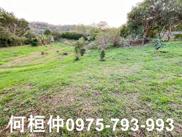 頭份農地-10