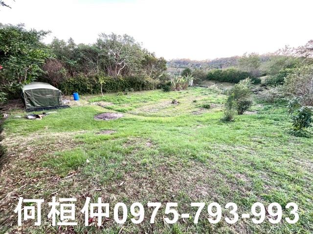 頭份農地-2