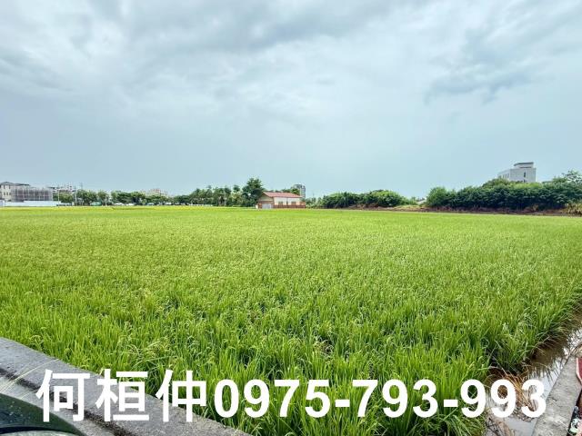 苗栗農地-1