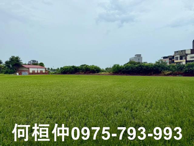 苗栗農地-5