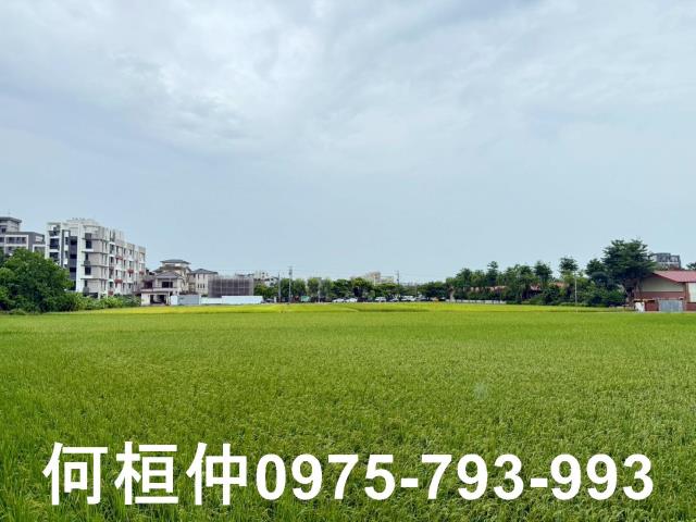苗栗農地-6