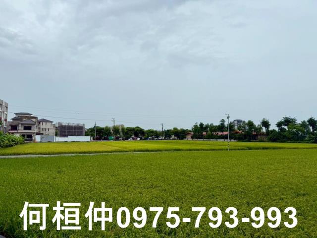苗栗農地-7