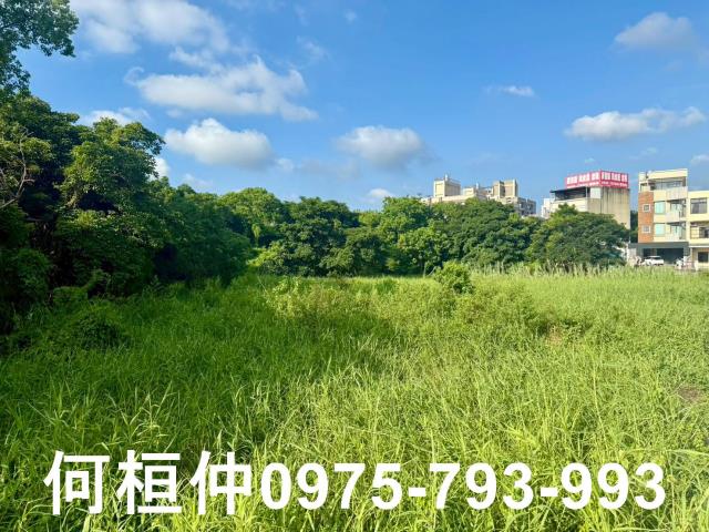 苗栗竹南農地-2