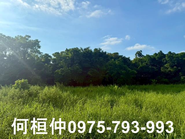 苗栗竹南農地-4