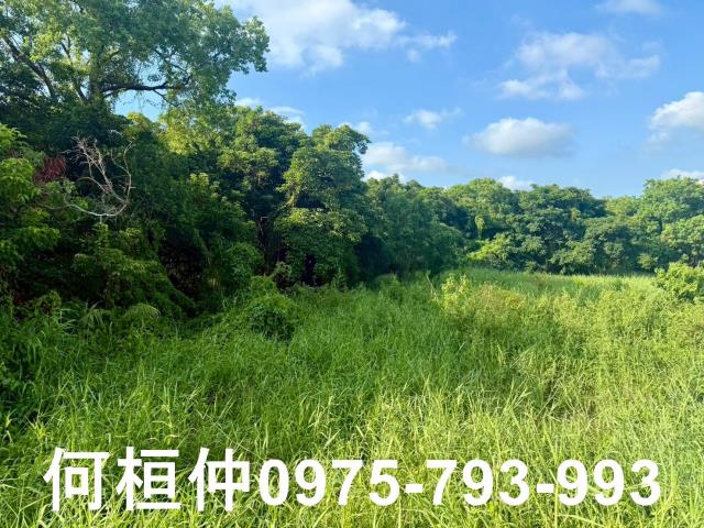 苗栗竹南農地-12