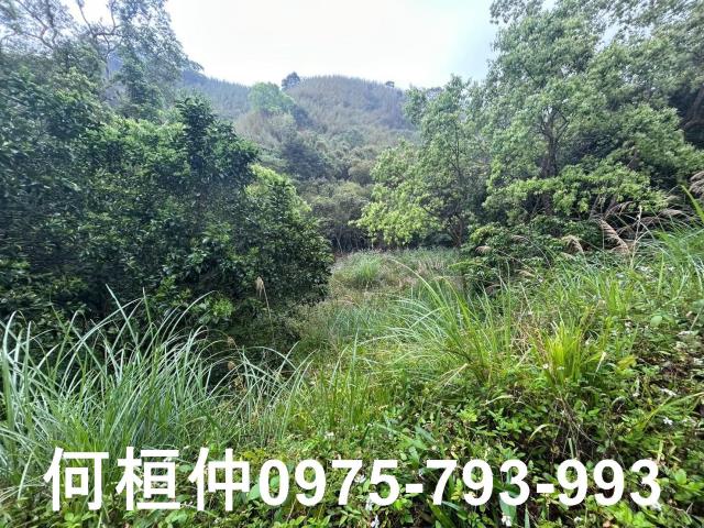 苗栗銅鑼休閒地-0