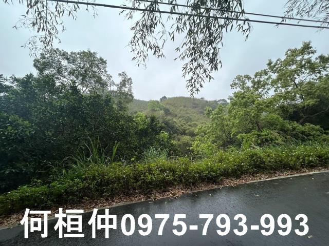 苗栗銅鑼休閒地-1