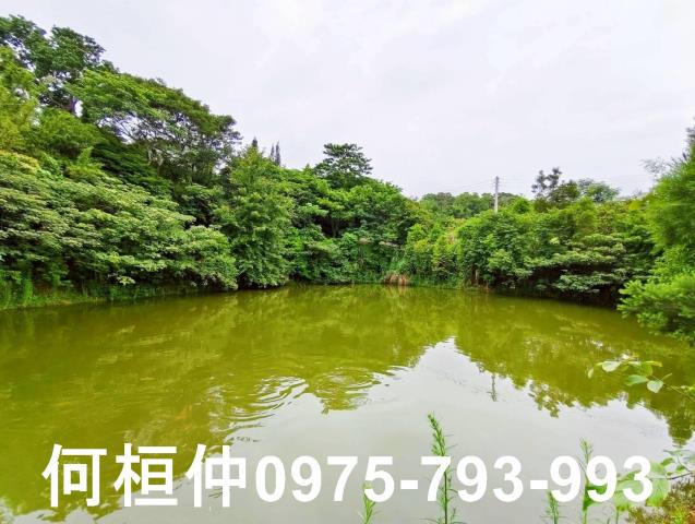 苗栗苗栗市農地-9