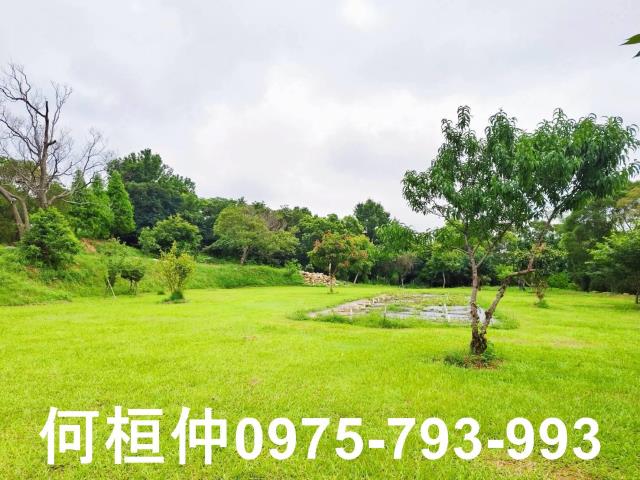 苗栗苗栗市農地-0