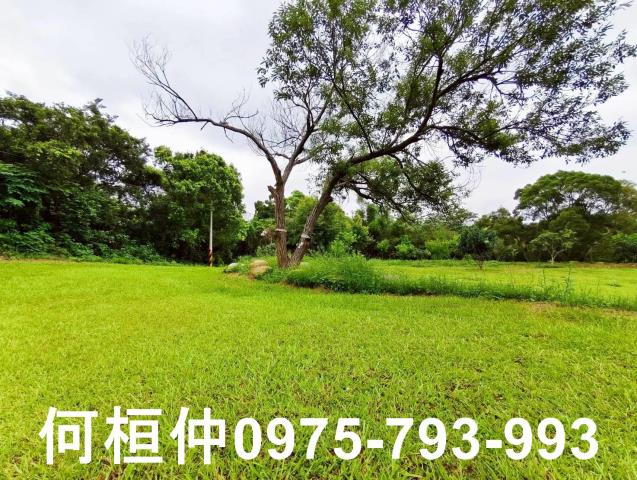 苗栗苗栗市農地-2