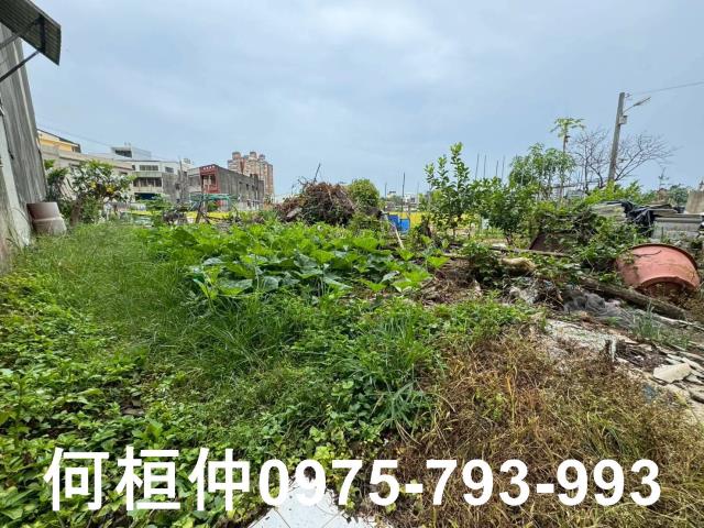 竹南建地-0