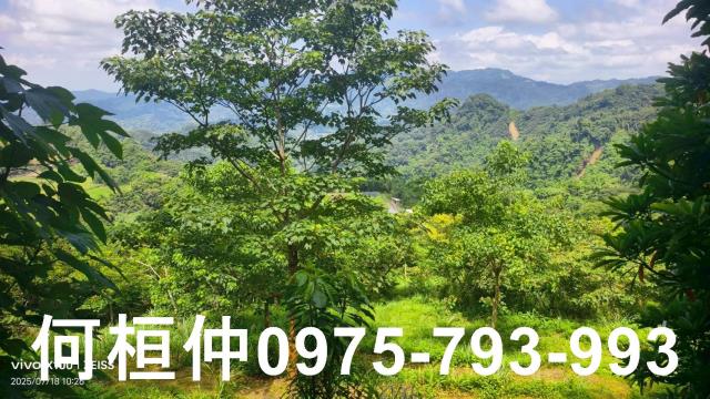 大湖農地-1