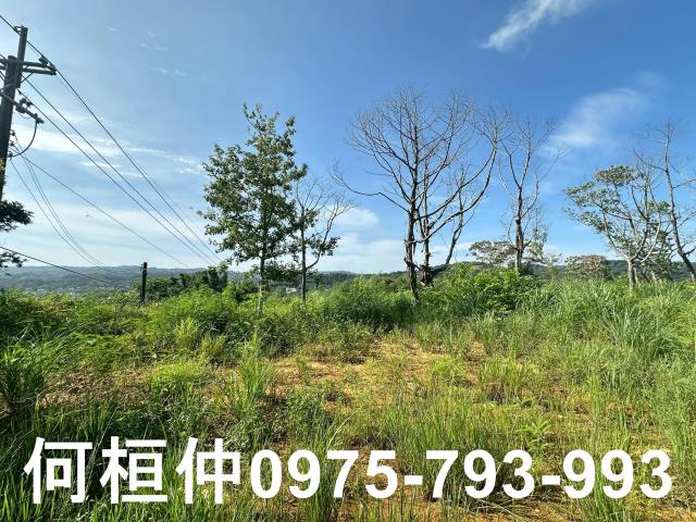 新竹新埔農地-1