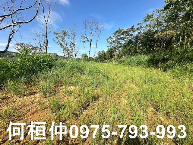 新竹新埔農地-2