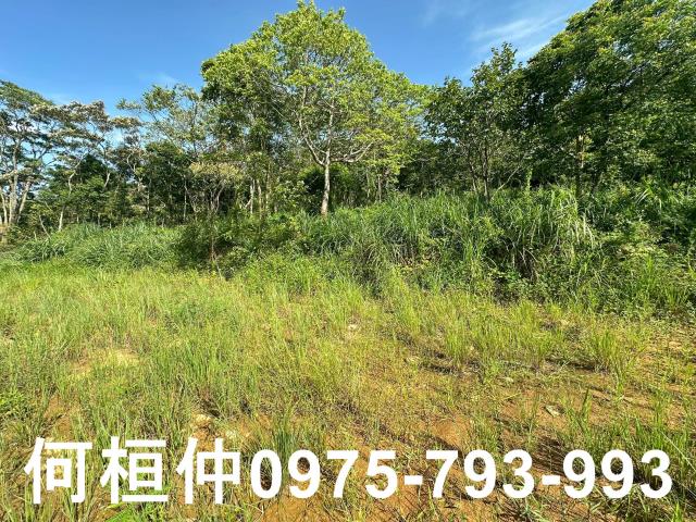 新竹新埔農地-3