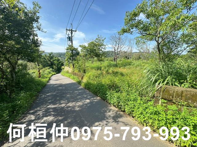 新竹新埔農地-4
