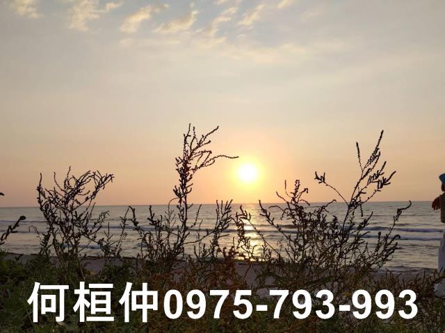 苗栗苑裡農地-0