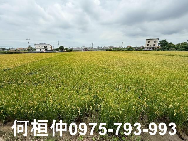 苗栗頭份農地-3