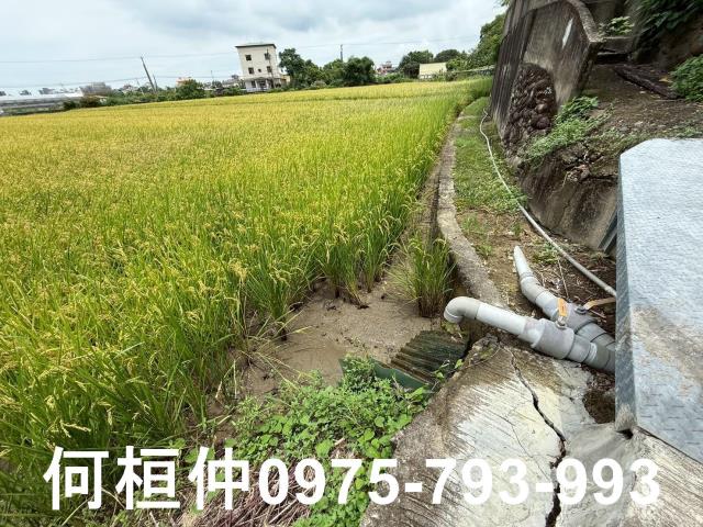 苗栗頭份農地-4