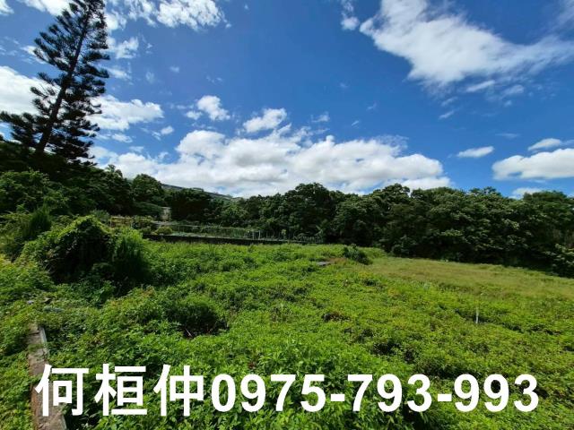 銅鑼農地-1