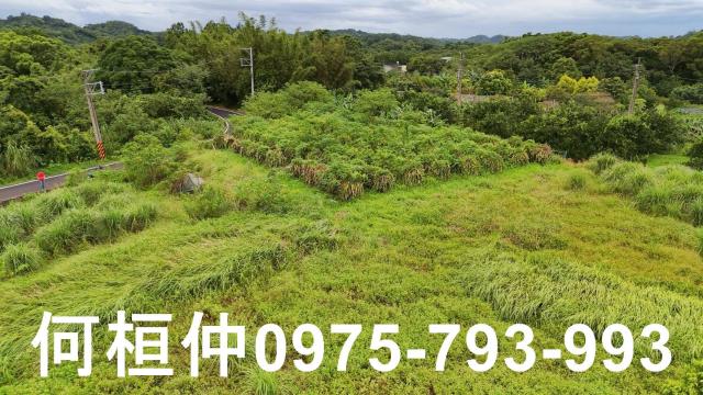 新竹峨眉農地-1